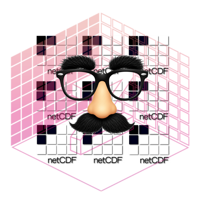 An illustration NetCDF files trying to looking like a Zarr Store.